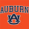 Auburn University AU Orange Nintendo 2DS XL (2017) Skin